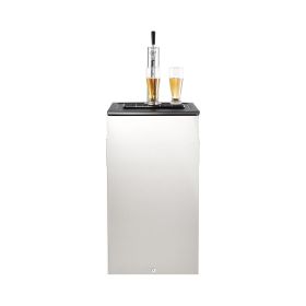 Beer Kegerator, Single Tap Commercial Draft Beer Dispenser for D system, Refrigerator With Shelves, Hold 1 Sixth Keg, 2.5lbs CO2 Tank, 92L